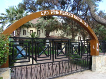 Pine Resort